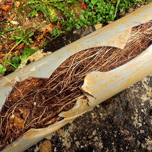 Same Day Drain Sewer & Rooter Pros Across Northwood